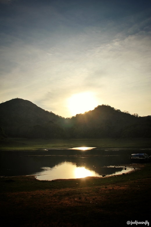 The sunset turned out to be the icing on the cake after a fantastic boat ride spotting wild elephants, sambar deer and gaurs. Location: Periyar Wildlife Sanctuary.